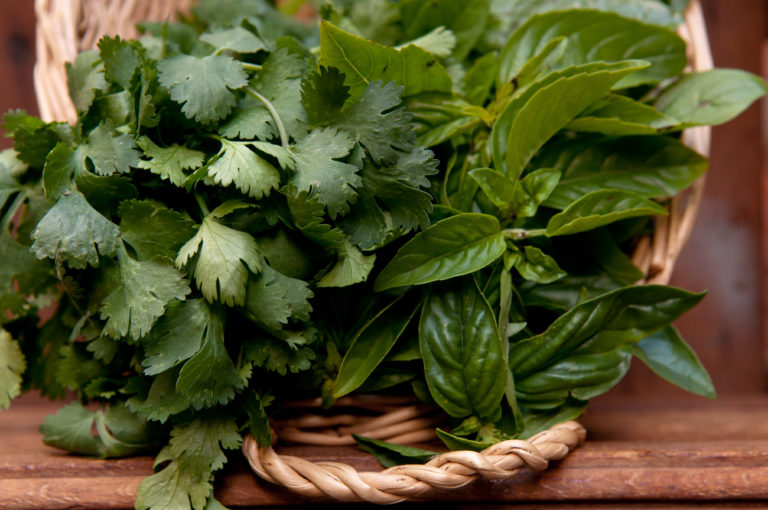 Eduardo de San Angel's Cilantro Soup - Annie FalkAnnie Falk
