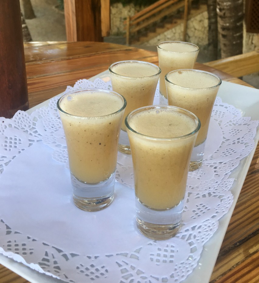 Ki-Ra’s Aloe Punch