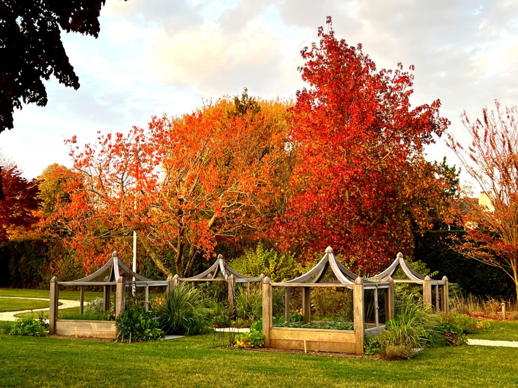 autumn landscape